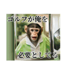 架空の自称プロゴルファー猿（個別スタンプ：32）