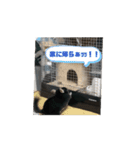 どでかネズミ（チンチラ）（個別スタンプ：2）