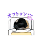 どでかネズミ（チンチラ）（個別スタンプ：13）