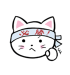 ネコっこデイズ2（個別スタンプ：31）