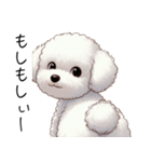 ビション・フリーゼのイラスト風（個別スタンプ：11）
