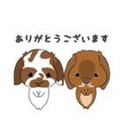 こはくくん、むさしくん（個別スタンプ：1）