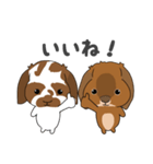 こはくくん、むさしくん（個別スタンプ：11）