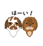 こはくくん、むさしくん（個別スタンプ：12）