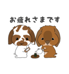 こはくくん、むさしくん（個別スタンプ：16）
