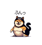 黒猫太っちょ柴犬（個別スタンプ：1）