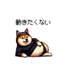 黒猫太っちょ柴犬（個別スタンプ：4）