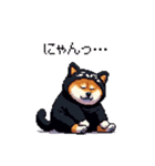 黒猫太っちょ柴犬（個別スタンプ：6）