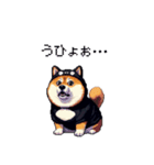 黒猫太っちょ柴犬（個別スタンプ：8）
