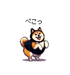黒猫太っちょ柴犬（個別スタンプ：9）