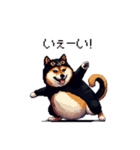 黒猫太っちょ柴犬（個別スタンプ：13）