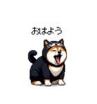 黒猫太っちょ柴犬（個別スタンプ：16）