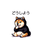 黒猫太っちょ柴犬（個別スタンプ：19）