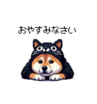 黒猫太っちょ柴犬（個別スタンプ：21）