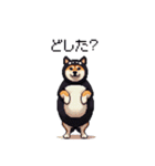黒猫太っちょ柴犬（個別スタンプ：24）