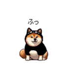 黒猫太っちょ柴犬（個別スタンプ：25）
