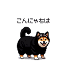 黒猫太っちょ柴犬（個別スタンプ：26）