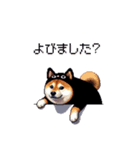 黒猫太っちょ柴犬（個別スタンプ：29）