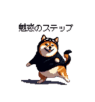 黒猫太っちょ柴犬（個別スタンプ：30）