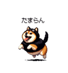 黒猫太っちょ柴犬（個別スタンプ：35）
