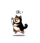 黒猫太っちょ柴犬（個別スタンプ：36）