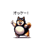 黒猫太っちょ柴犬（個別スタンプ：37）