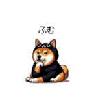 黒猫太っちょ柴犬（個別スタンプ：38）