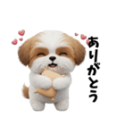 かわいいシーズーの表情3Dスタンプ（個別スタンプ：1）