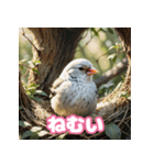 おしゃま文鳥スタンプ（個別スタンプ：3）