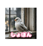 おしゃま文鳥スタンプ（個別スタンプ：5）