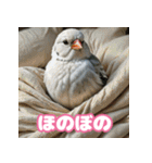 おしゃま文鳥スタンプ（個別スタンプ：7）