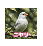 おしゃま文鳥スタンプ（個別スタンプ：8）