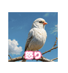 おしゃま文鳥スタンプ（個別スタンプ：12）