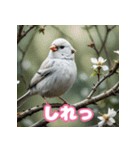 おしゃま文鳥スタンプ（個別スタンプ：15）
