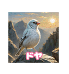 おしゃま文鳥スタンプ（個別スタンプ：18）