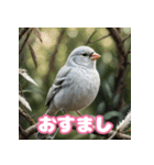 おしゃま文鳥スタンプ（個別スタンプ：22）