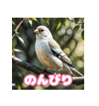 おしゃま文鳥スタンプ（個別スタンプ：28）