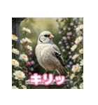 おしゃま文鳥スタンプ（個別スタンプ：35）