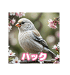 おしゃま文鳥スタンプ（個別スタンプ：37）