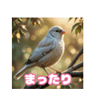 おしゃま文鳥スタンプ（個別スタンプ：38）