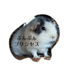壁ぎわのぽっぽちゃん（個別スタンプ：1）