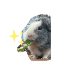 壁ぎわのぽっぽちゃん（個別スタンプ：3）