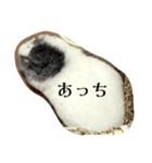 壁ぎわのぽっぽちゃん（個別スタンプ：7）