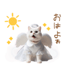 天使と悪魔♡日常スタンプ（個別スタンプ：1）