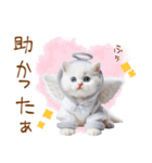天使と悪魔♡日常スタンプ（個別スタンプ：17）