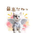 天使と悪魔♡日常スタンプ（個別スタンプ：27）