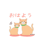 (茶猫)ありがとう/名前入力#猫の日（個別スタンプ：31）