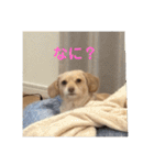 ゆっけ特集（個別スタンプ：3）