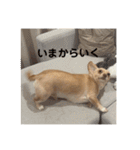 ゆっけ特集（個別スタンプ：5）