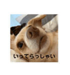 ゆっけ特集（個別スタンプ：7）